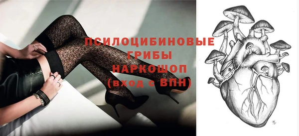 прущие грибы Покачи