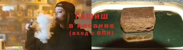 хмурый Пересвет