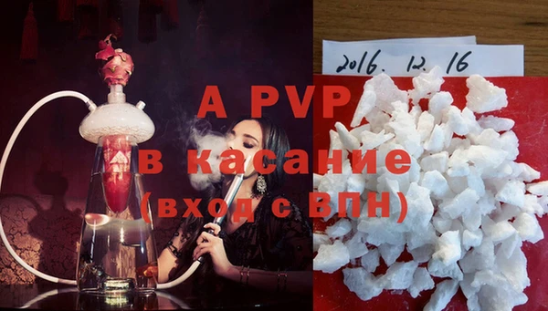 прущие грибы Покачи