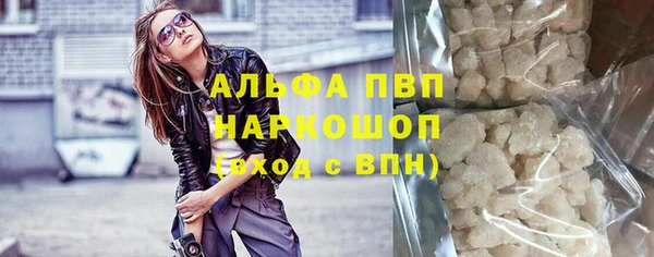 прущие грибы Покачи