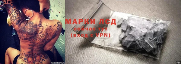 прущие грибы Покачи