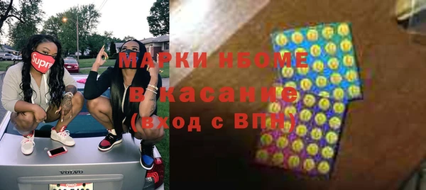 прущие грибы Покачи
